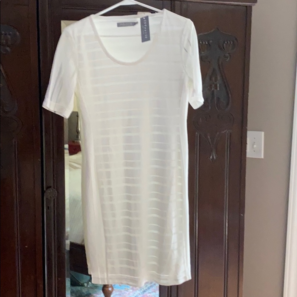 XS 209wst38 sheer white dress